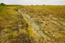 Прогулка по святилищу на поселении Яблоневое-1 на реке Кундрючь