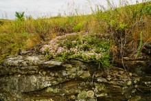 Прогулка по святилищу на поселении Яблоневое-1 на реке Кундрючь