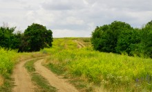 Прогулка по святилищу на поселении Яблоневое-1 на реке Кундрючь