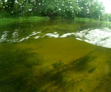 Путешествие по реке Калитве по земле и под водой.