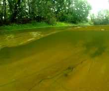 Путешествие по реке Калитве по земле и под водой.