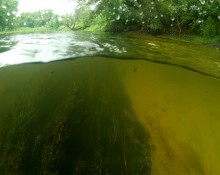 Путешествие по реке Калитве по земле и под водой.