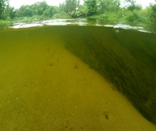 Путешествие по реке Калитве по земле и под водой.