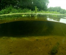 Путешествие по реке Калитве по земле и под водой.