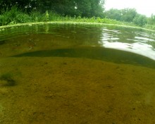 Путешествие по реке Калитве по земле и под водой.