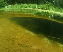 Путешествие по реке Калитве по земле и под водой.