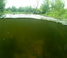 Путешествие по реке Калитве по земле и под водой.
