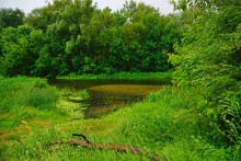 Путешествие по реке Калитве по земле и под водой.
