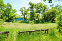 Пионерский лагерь на реке Сухой в Цимлянском районе