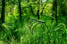 Пионерский лагерь на реке Сухой в Цимлянском районе