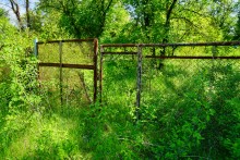 Пионерский лагерь на реке Сухой в Цимлянском районе