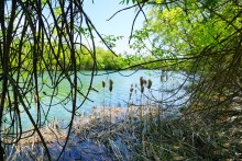 Пионерский лагерь на реке Сухой в Цимлянском районе