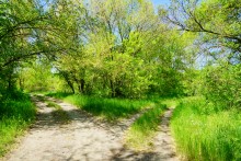 Пионерский лагерь на реке Сухой в Цимлянском районе