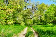 Пионерский лагерь на реке Сухой в Цимлянском районе