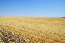 Июль на Дону