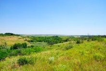 Июль на Дону