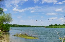 Июль на Дону