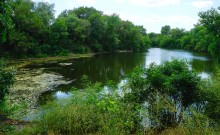 Июль на Дону