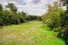 Июль на Дону