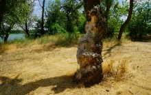 У слияния Дона и Северского Донца