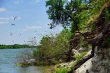 У слияния Дона и Северского Донца