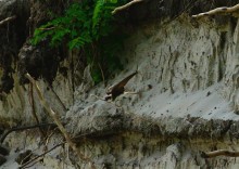 У слияния Дона и Северского Донца