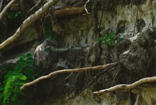 У слияния Дона и Северского Донца