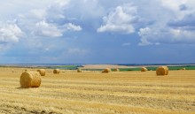 Июльские пейзажи нижнего Дона