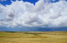 Июльские пейзажи нижнего Дона