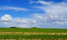 Июльские пейзажи нижнего Дона