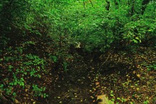 Водопад в балке на берегу Северского Донца