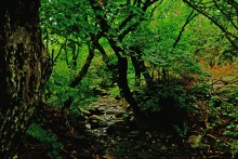 Водопад в балке на берегу Северского Донца