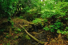 Водопад в балке на берегу Северского Донца