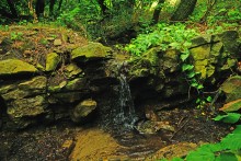 Водопад в балке на берегу Северского Донца