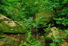 Водопад в балке на берегу Северского Донца