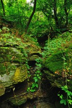Водопад в балке на берегу Северского Донца
