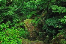 Водопад в балке на берегу Северского Донца