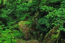 Водопад в балке на берегу Северского Донца
