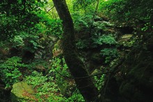 Водопад в балке на берегу Северского Донца