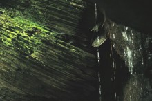 Водопад в балке на берегу Северского Донца