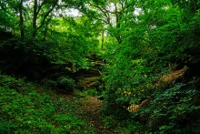 Водопад в балке на берегу Северского Донца