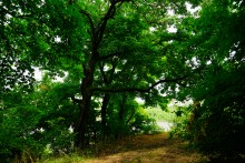 Водопад в балке на берегу Северского Донца