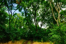 Водопад в балке на берегу Северского Донца