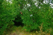 Водопад в балке на берегу Северского Донца