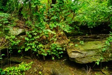 Водопад в балке на берегу Северского Донца