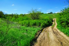 Весна на Мишкинских буграх