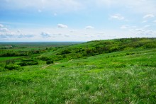 Весна на Мишкинских буграх