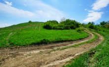 Весна на Мишкинских буграх