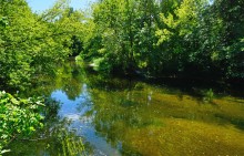 Август на Калитве, у Ефремово-Степановки, на берегу и под водой.