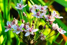 Август на Калитве, у Ефремово-Степановки, на берегу и под водой.